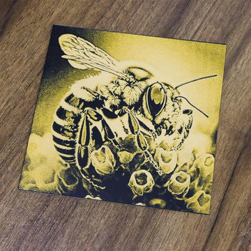 Bee - 20w Acrylic Engraving - GreatCarve